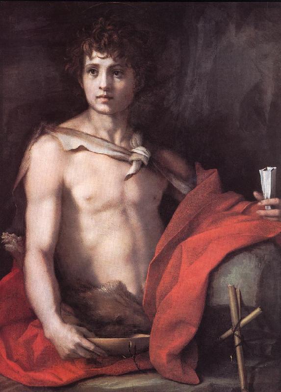 Andrea del Sarto St John the Baptist oil painting picture